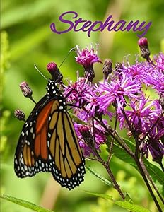 Stephany's Journal