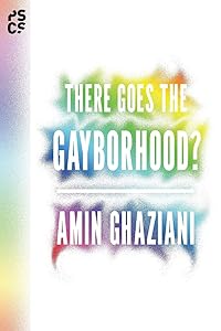 There Goes the Gayborhood? (Princeton Studies in Cultural Sociology)