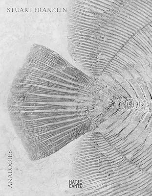 Stuart Franklin: Analogies (Limited Edition)