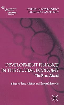 Development Finance in the Global Economy: The Road Ahead (Studies in Development Economics and Policy)