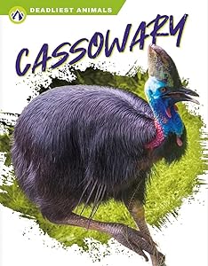 Cassowary (Deadliest Animals)