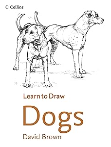 Collins Learn to Draw Dogs