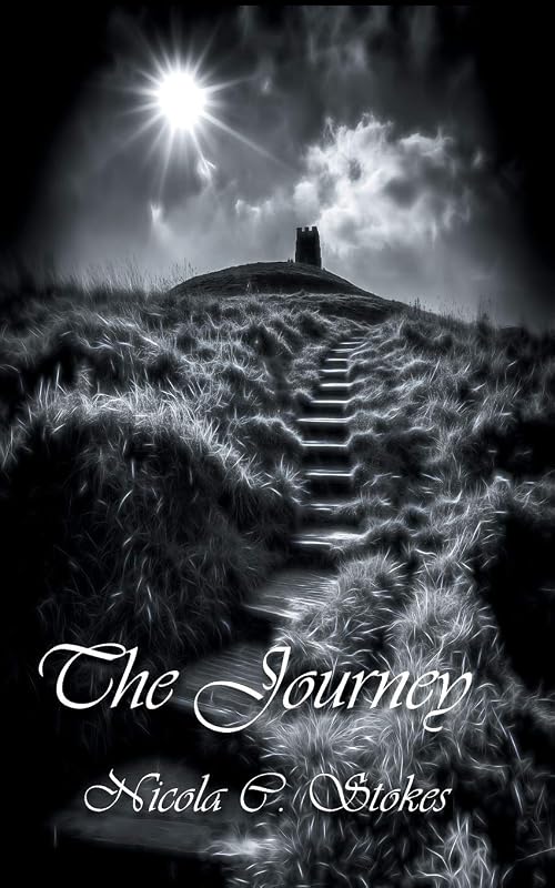 The Journey by Nicola C Stokes