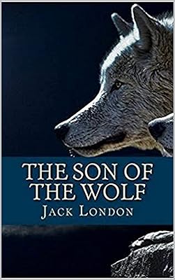 The Son of the Wolf Illustrated