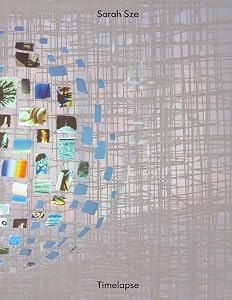Sarah Sze: Timelapse by Sarah Sze