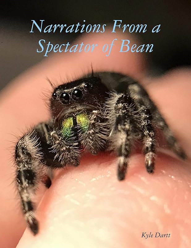 Narrations From a Spectator of Bean by Kyle Dartt