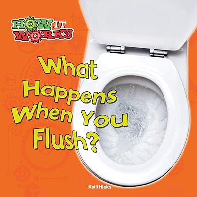 Rourke Educational Media What Happens When You Flush? (How It Works)
