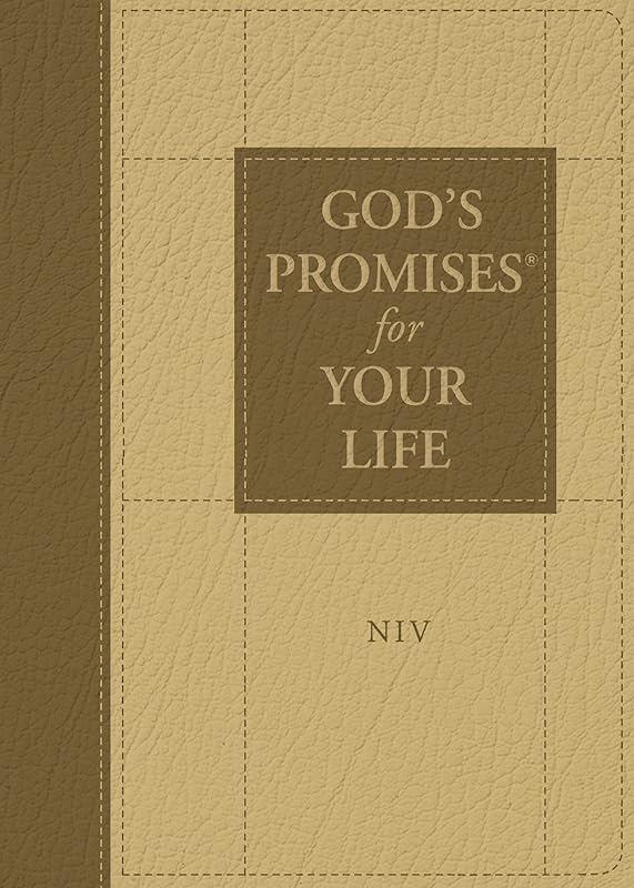 God's Promises for Your Life: New International Version by Jack Countryman