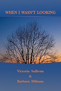 When I Wasn't Looking by Victoria Sullivan