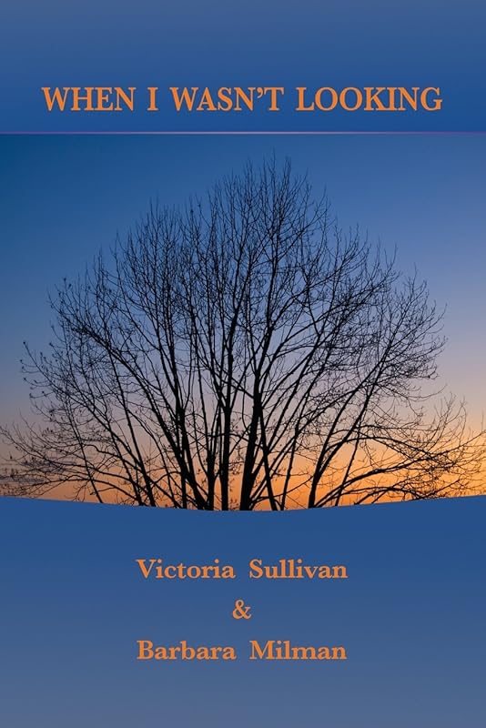 When I Wasn't Looking by Victoria Sullivan
