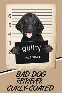 Bad Dog Retriever Curly-Coated: Blank Cookbook Recipes & Notes featuring 120 pages 6"x9"