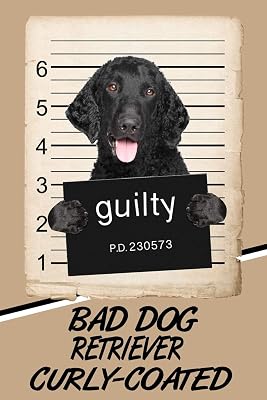 Bad Dog Retriever Curly-Coated: Blank Cookbook Recipes & Notes featuring 120 pages 6"x9"