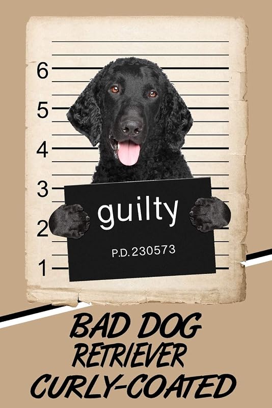 Bad Dog Retriever Curly-Coated: Blank Cookbook Recipes & Notes featuring 120 pages 6"x9" by Rob Cole