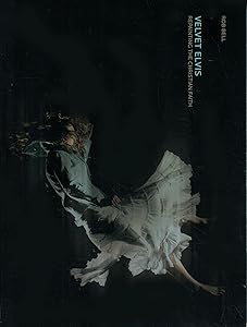 Velvet Elvis: Repainting the Christian Faith