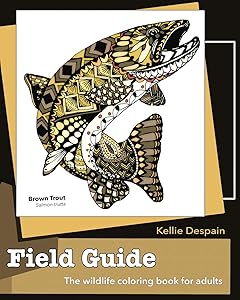 Field Guide: The wildlife coloring book for adults by Kellie Despain