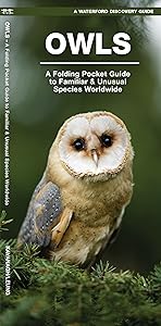 Owls: A Folding Pocket Guide to Familiar Species Worldwide (Waterford Discovery Guide)