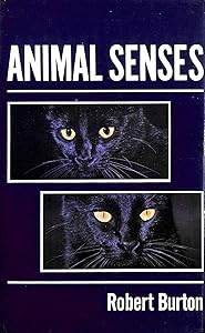 Animal senses