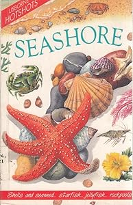Usborne Hotshots Seashore (Hotshot Series)