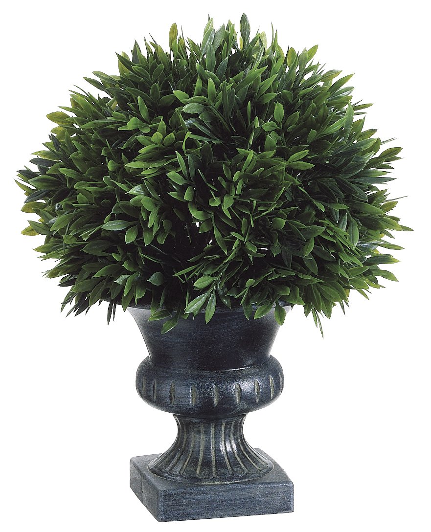 

Silk Plants Direct Podocarpus Topiary Ball (Pack of 6)