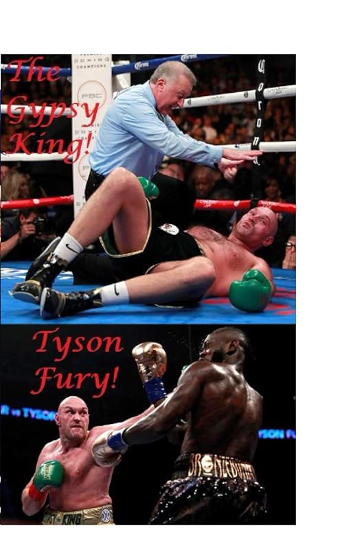 Tyson Fury : The Gypsy King: The Shocking Truth! by Tony Melua