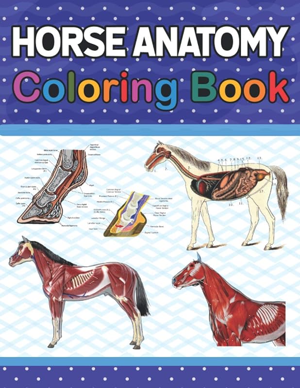 Horse Anatomy Coloring Book: The New Surprising Magnificent Learning Structure For Veterinary Anatomy Students. Perfect gift For Vet Students and even ... Coloring and Activity Book for Boys & Girls. by Sarkaiylone Publication