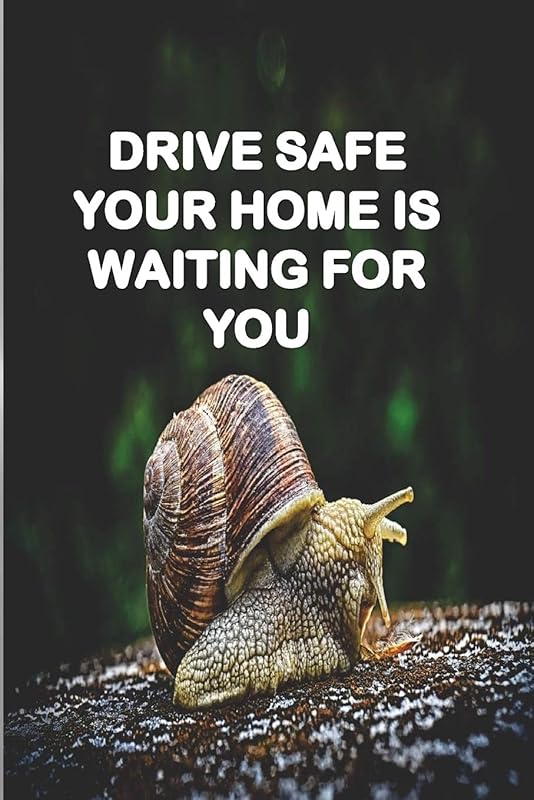 DRIVE SAFE YOUR HOME IS WAITING FOR YOU: a gift to your loved ones for any occasion specialy in birthdays by anas.sb publishing