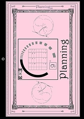 Exe - Planning (Pink Planning): 9 Months Planning – Planning a 9 Mesi (Utility Line)