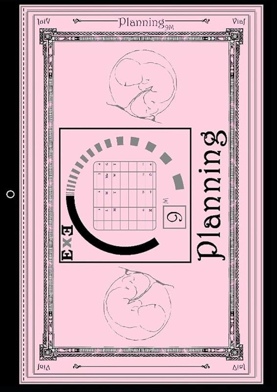 Exe - Planning (Pink Planning): 9 Months Planning – Planning a 9 Mesi (Utility Line) by Vincenzo Arrighini Viaf