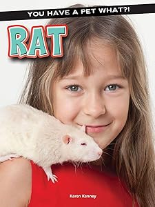 Rat (You Have a Pet What?!)