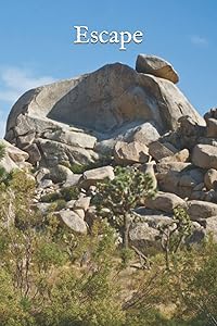 Escape: Joshua Tree