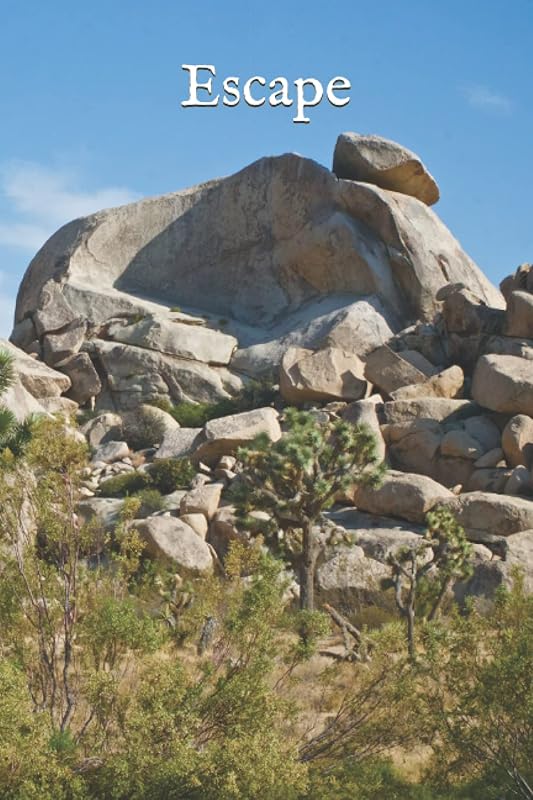 Escape: Joshua Tree by T.C. Lovejoy