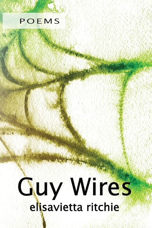 GUY WIRES by Elisavietta Ritchie