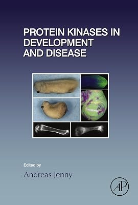 Protein Kinases in Development and Disease (Current Topics in Developmental Biology Book 123)