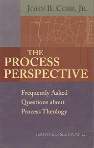 The Process Perspective: Frequently Asked Questions about Process Theology by John B. Cobb Jr.