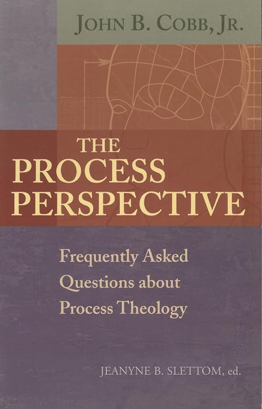 The Process Perspective: Frequently Asked Questions about Process Theology by John B. Cobb Jr.