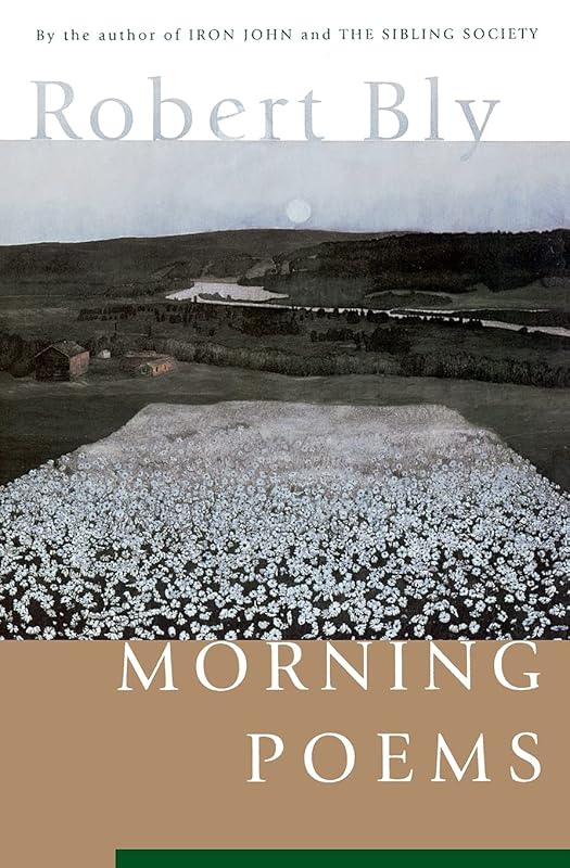 Morning Poems by Robert Bly