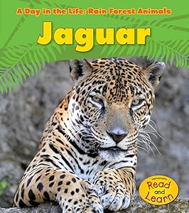 Jaguar (A Day in the Life: Rain Forest Animals)
