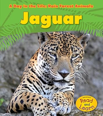Jaguar (A Day in the Life: Rain Forest Animals)