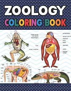 Zoology Coloring Book: Collection of Simple Illustrations of Zoology. Introduction to Veterinary Anatomy & Zoology Workbook. Dog Cat Horse Frog Bird ... Handbook of Zoology Students & Teachers. by Sarniczell Publication