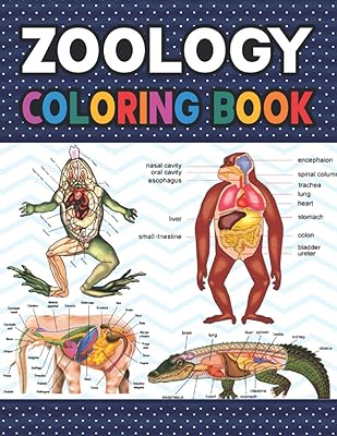 Zoology Coloring Book: Collection of Simple Illustrations of Zoology. Introduction to Veterinary Anatomy & Zoology Workbook. Dog Cat Horse Frog Bird ... Handbook of Zoology Students & Teachers.