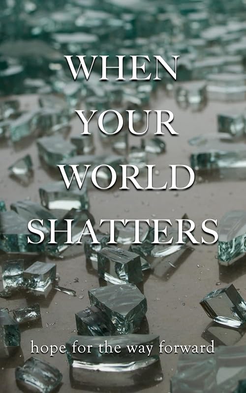 When Your World Shatters by Ronald V Prosise