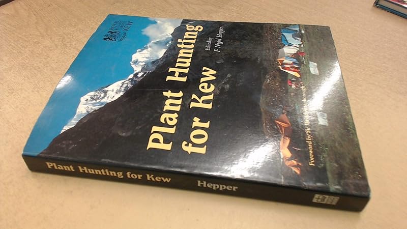 New Left Review 38. by Juan Mari Madariaga