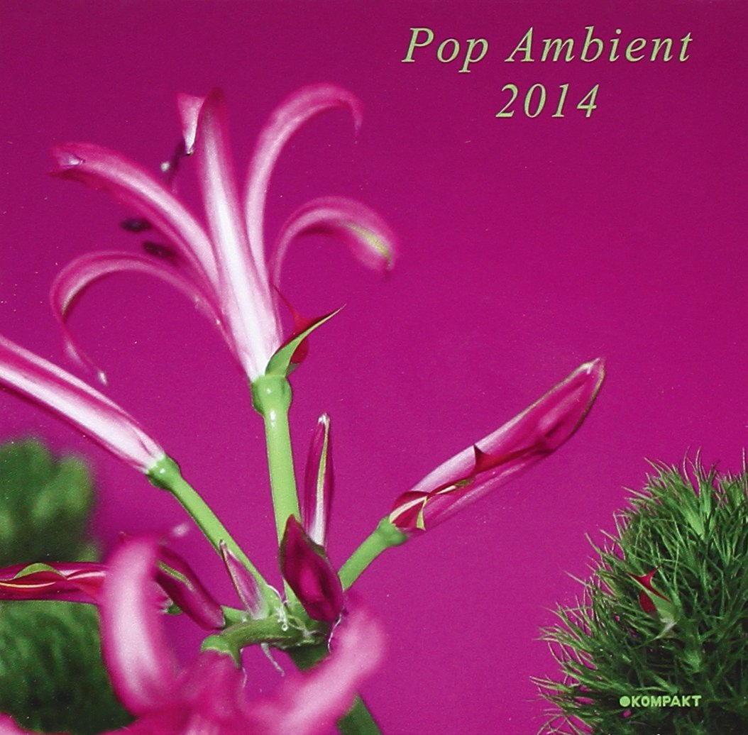VA-Pop Ambient 2014-(KOMPAKTCD113)-CD-FLAC-2014-CMC Download