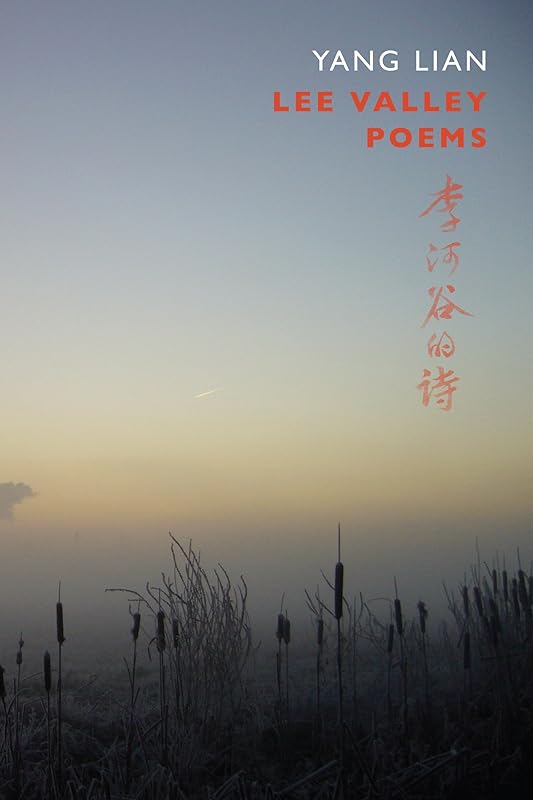 Lee Valley Poems by Yang Lian