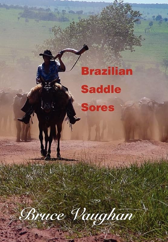 Brazilian Saddle Sores by Bruce Vaughan