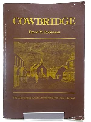 Cowbridge: The archeology and topography of a small market town in the Vale of Glamorgan (Town survey / Glamorgan-Gwent Archeological Trust)