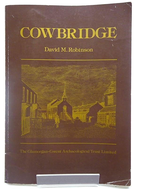 Cowbridge: The archeology and topography of a small market town in the Vale of Glamorgan (Town survey / Glamorgan-Gwent Archeological Trust) by David M Robinson