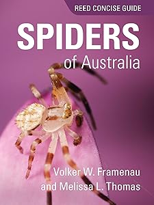 Spiders of Australia: Reed Concise Guide