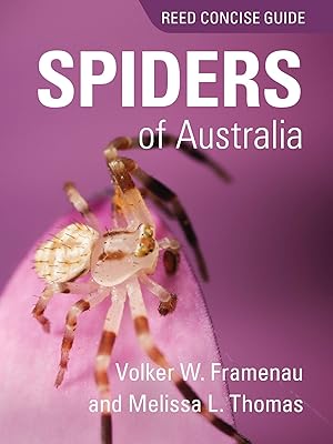 Spiders of Australia: Reed Concise Guide