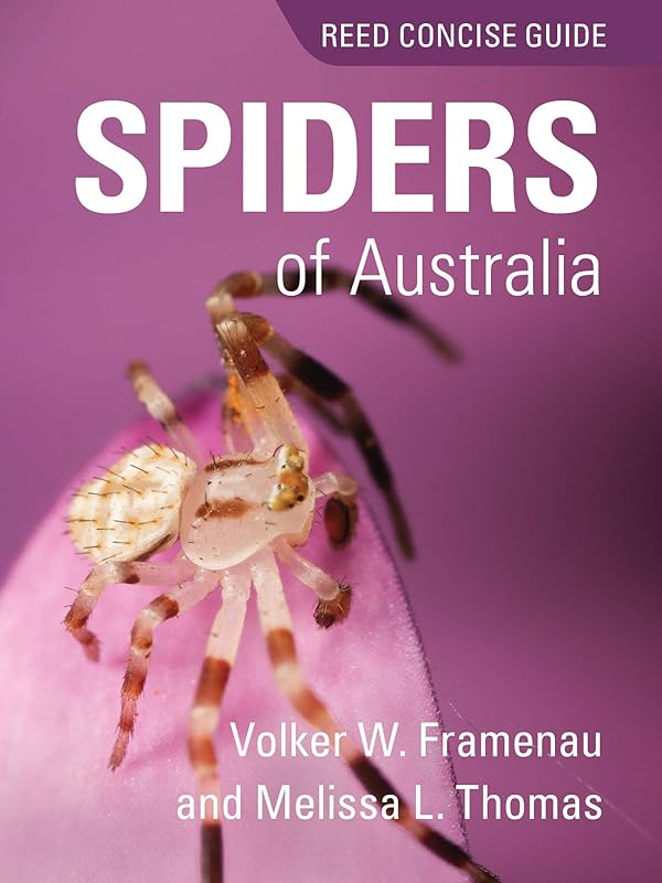 Spiders of Australia: Reed Concise Guide by unknown author